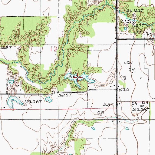Topographic Map of Burcham Pond, IL