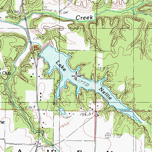 Topographic Map of Lake Nellie, IL