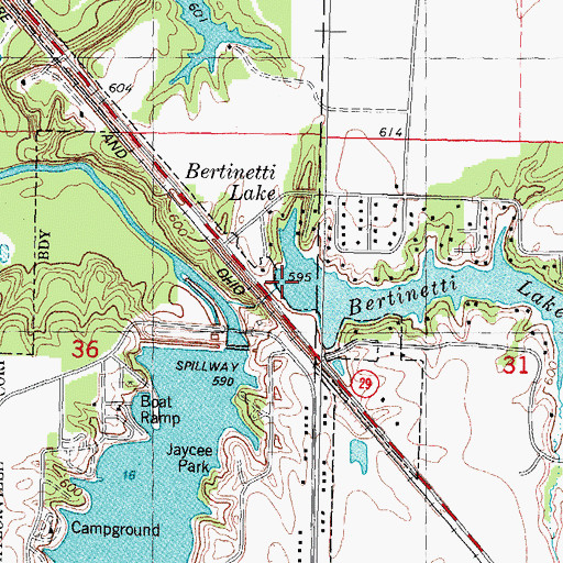 Topographic Map of Bertinettis Lake Dam, IL