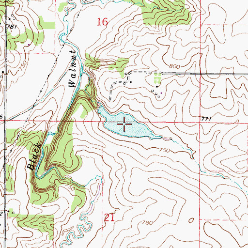 Topographic Map of Walnut Pond, IL