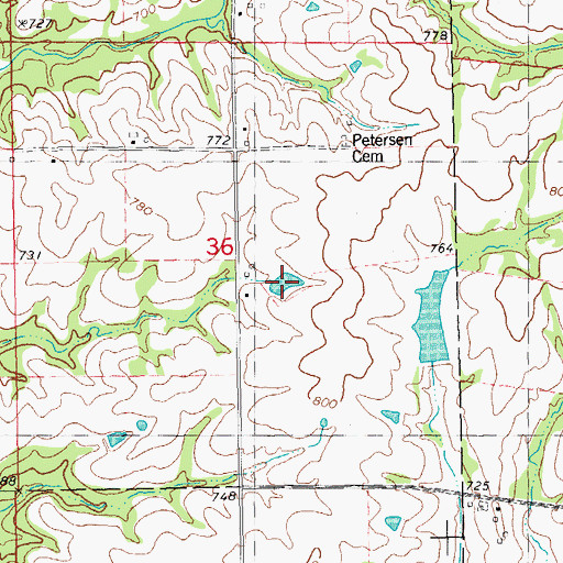 Topographic Map of Rising Spring Orchard Lake, IL