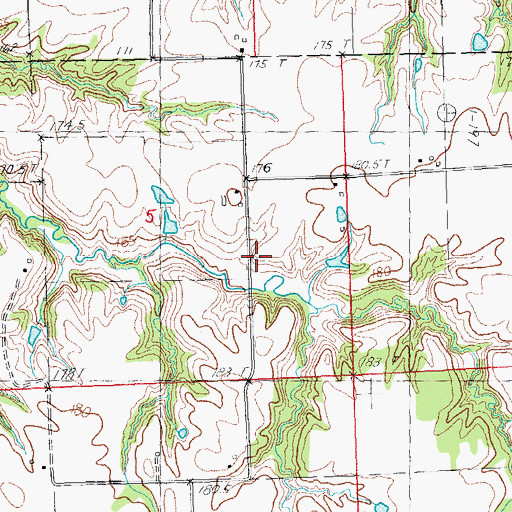 Topographic Map of Greenfield City Lake, IL