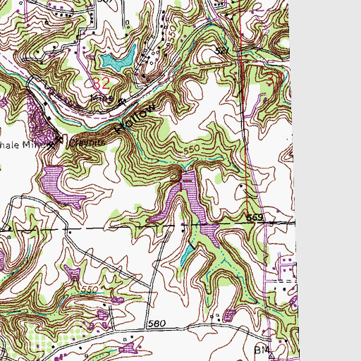 Topographic Map of Heitmans Pond, IL