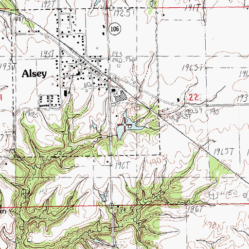 Topographic Map of Alsey Lake, IL