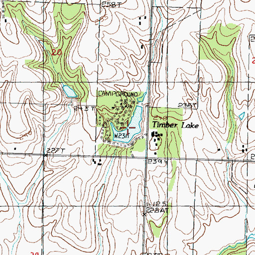 Topographic Map of Timber Lake, IL