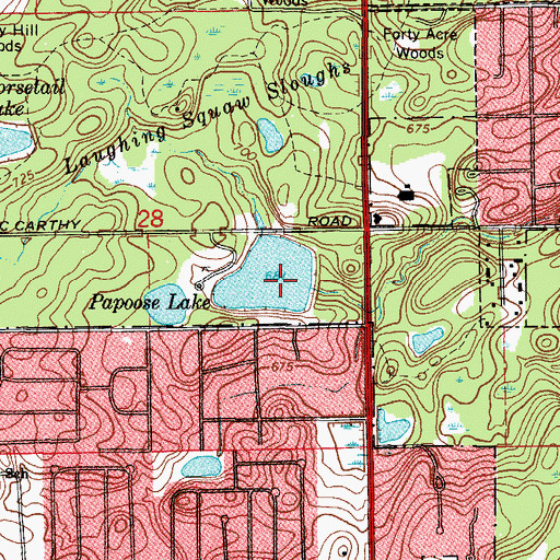 Topographic Map of Papoose Lake Dam, IL
