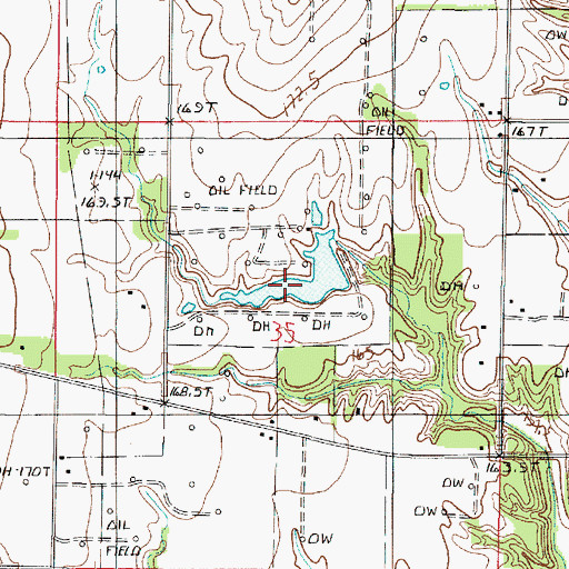 Topographic Map of Ridgeway Lake, IL