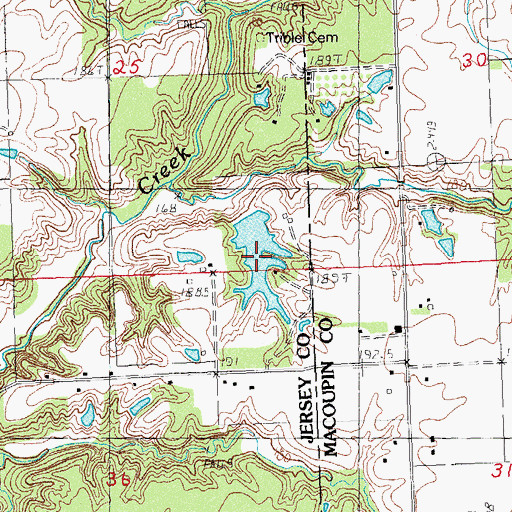 Topographic Map of Rowden Lake, IL