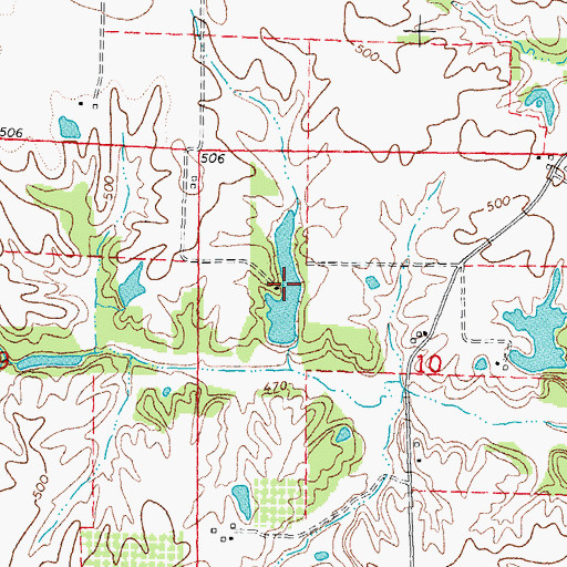Topographic Map of Piney Wood Lake, IL