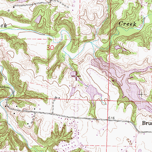 Topographic Map of Home Lake, IL