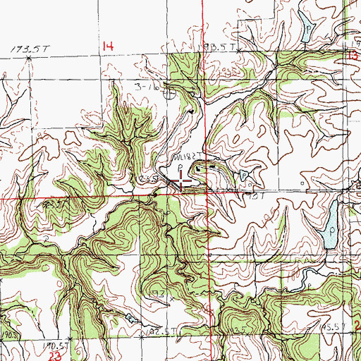 Topographic Map of Rowe Lake Dam, IL