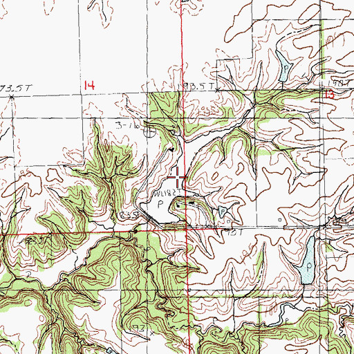 Topographic Map of Rowe Lake, IL