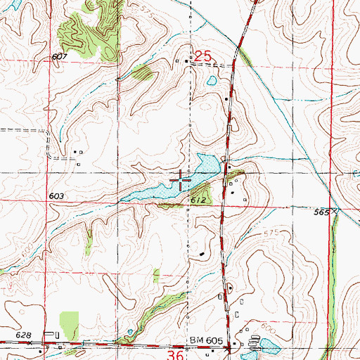 Topographic Map of McMann Lake, IL