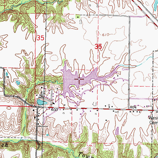 Topographic Map of Country Lake, IL