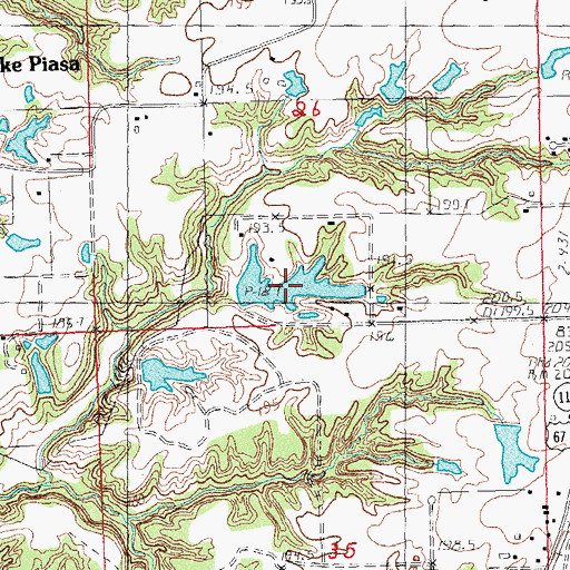 Topographic Map of Craig Lake, IL
