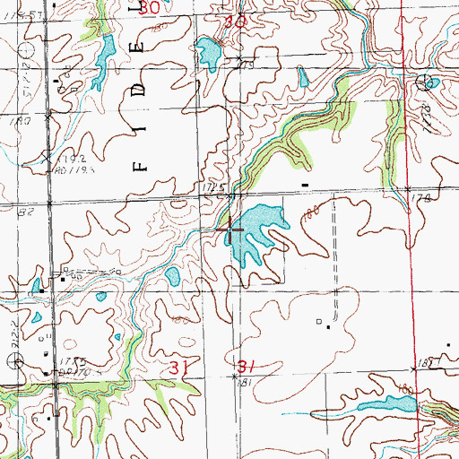 Topographic Map of Feyerabend Pond Dam, IL