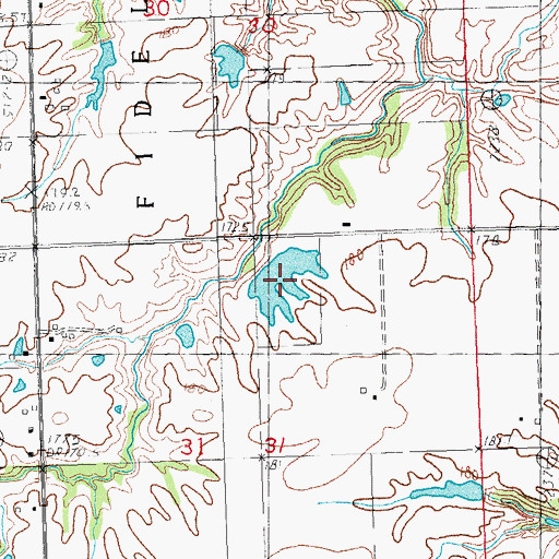 Topographic Map of Feyerabend Pond, IL