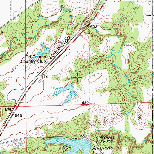 Topographic Map of Dennis Lake Dam, IL