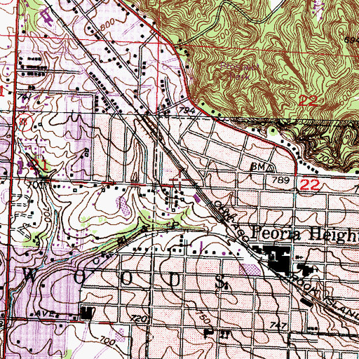 Topographic Map of Mulvaney Pond, IL