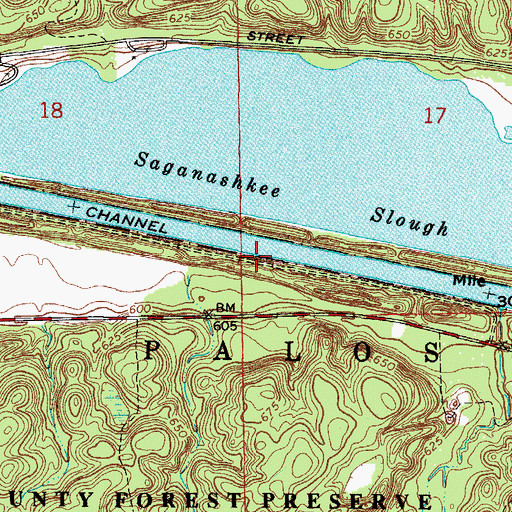 Topographic Map of Dam Number 3, IL
