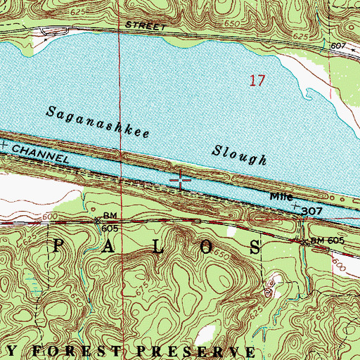 Topographic Map of Dam Number 4, IL