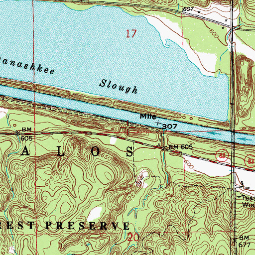 Topographic Map of Dam Number 5, IL