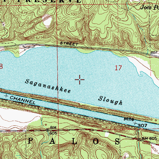 Topographic Map of Saganashkee Slough, IL