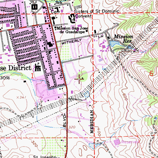 Topographic Map of Richter Field, CA