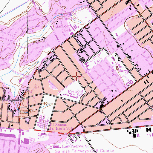 Topographic Map of Alisal, CA
