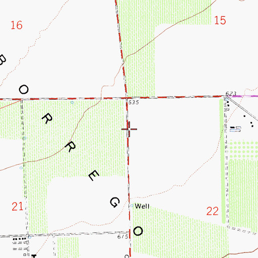 Topographic Map of Brinniger Ranch, CA