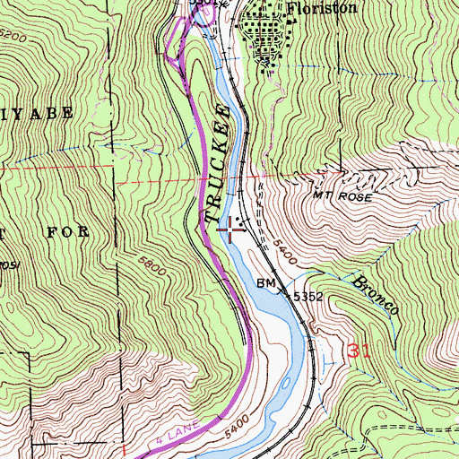 Topographic Map of Bronco, CA