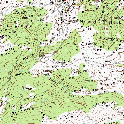 Topographic Map of Gladstone Mine, CO