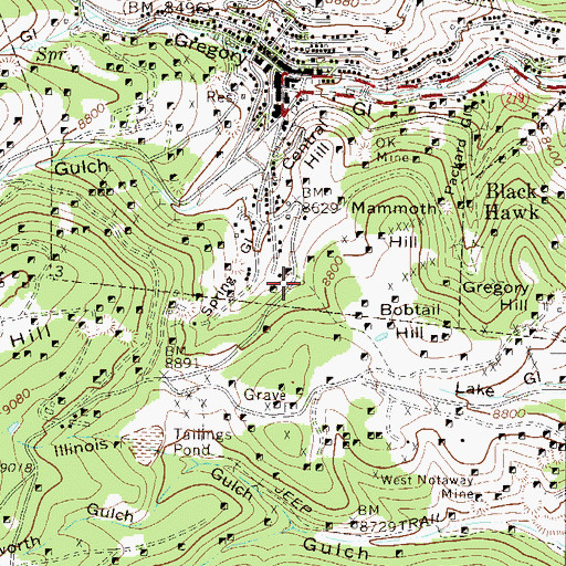 Topographic Map of Mammoth Mine, CO