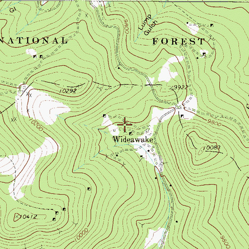 Topographic Map of Petunia Mine, CO