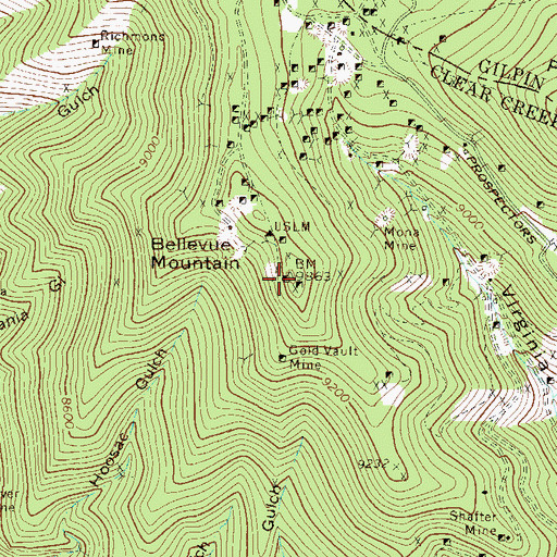 Topographic Map of Specie Payment Mine, CO