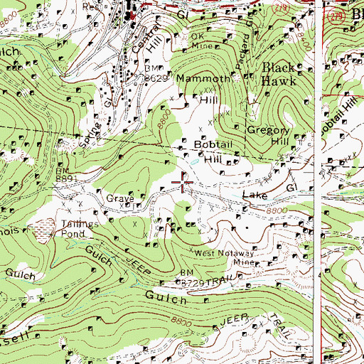 Topographic Map of Ute Gold Properties Mine, CO
