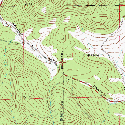 Topographic Map of Bowman Lease Mine, CO
