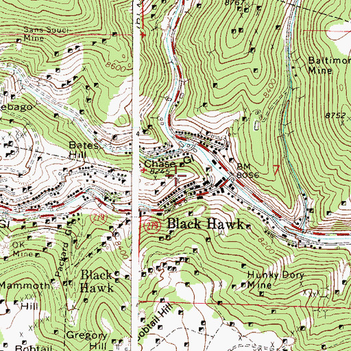 Topographic Map of Silver Dollar Mine, CO