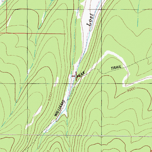 Topographic Map of Williams Peak Trail, CO