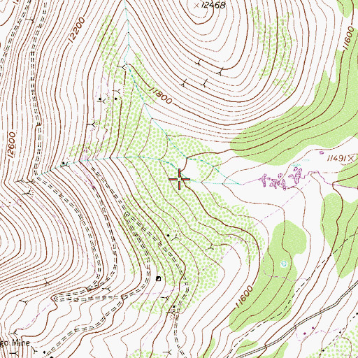 Topographic Map of Big Chief Mine, CO