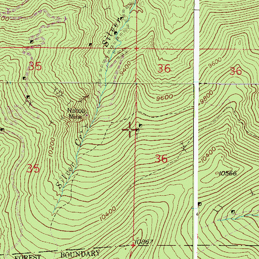 Topographic Map of American Sisters Mine, CO