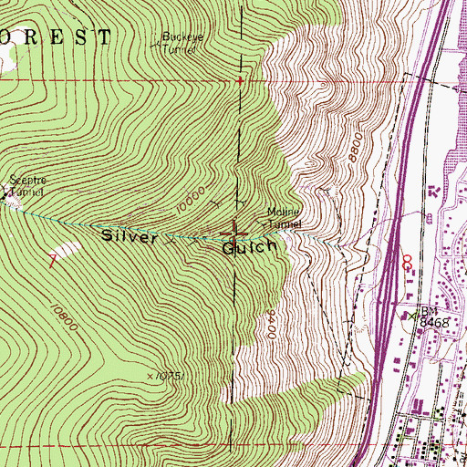 Topographic Map of Beecher Morris Mine, CO
