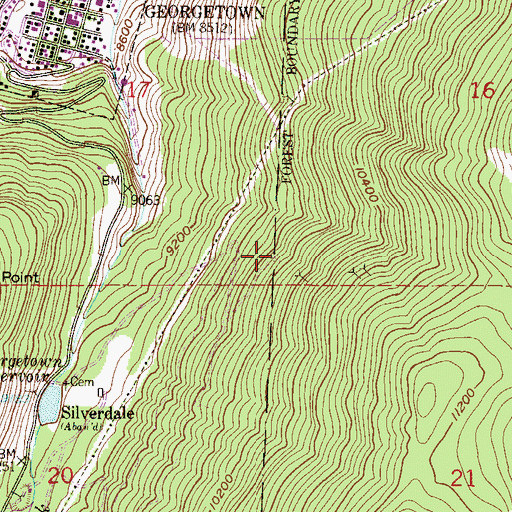 Topographic Map of B F Moore Mine, CO