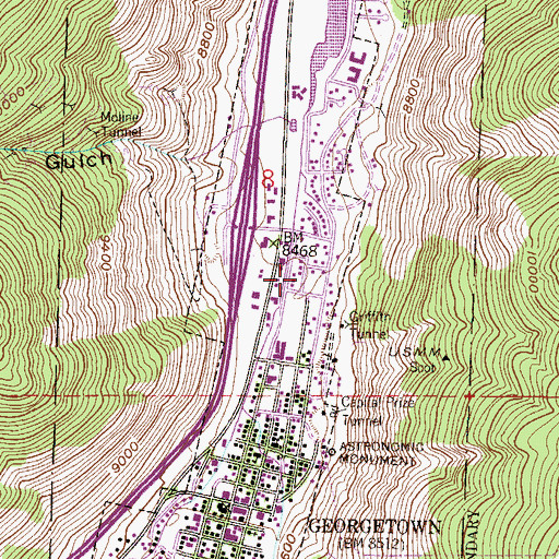 Topographic Map of Bohemian Mine, CO