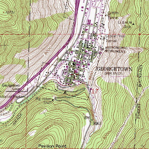 Topographic Map of Danube Mine, CO