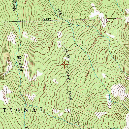 Topographic Map of Woods Lake Trail, CO