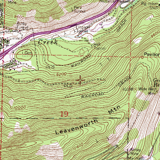 Topographic Map of Weedy Mine, CO