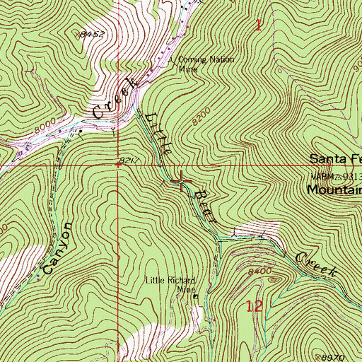 Topographic Map of Little Boss Mine, CO