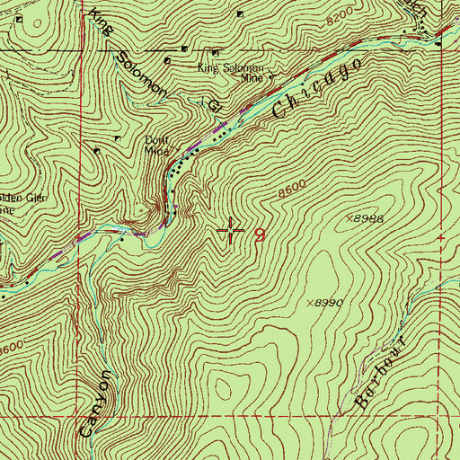 Topographic Map of Blackstone Mine, CO