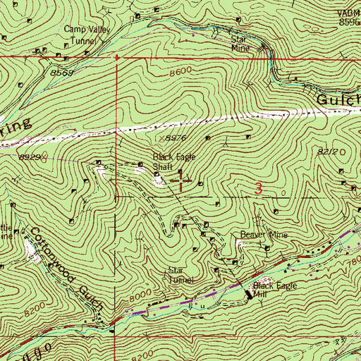 Topographic Map of Chicago Mine, CO